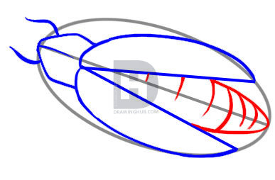 387x254 How To Draw A Firefly, Step