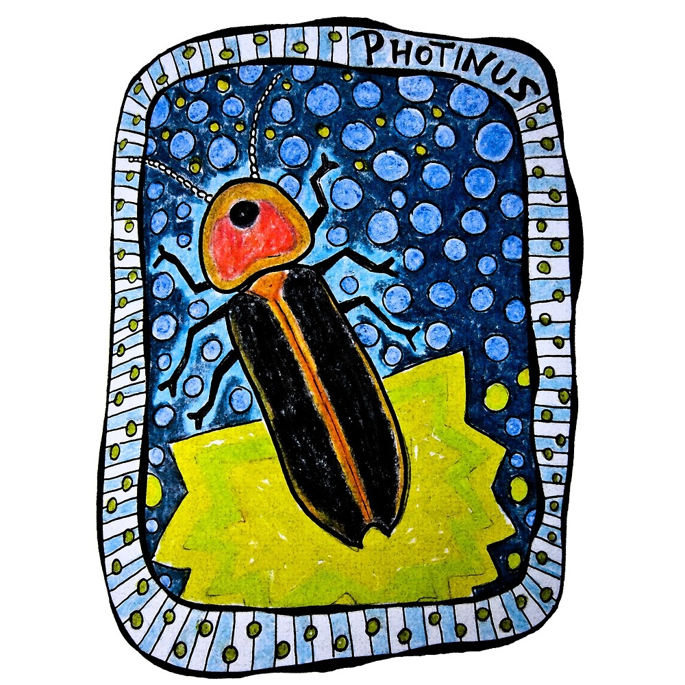 1000x1000 Lightning Bug Firefly Photinus