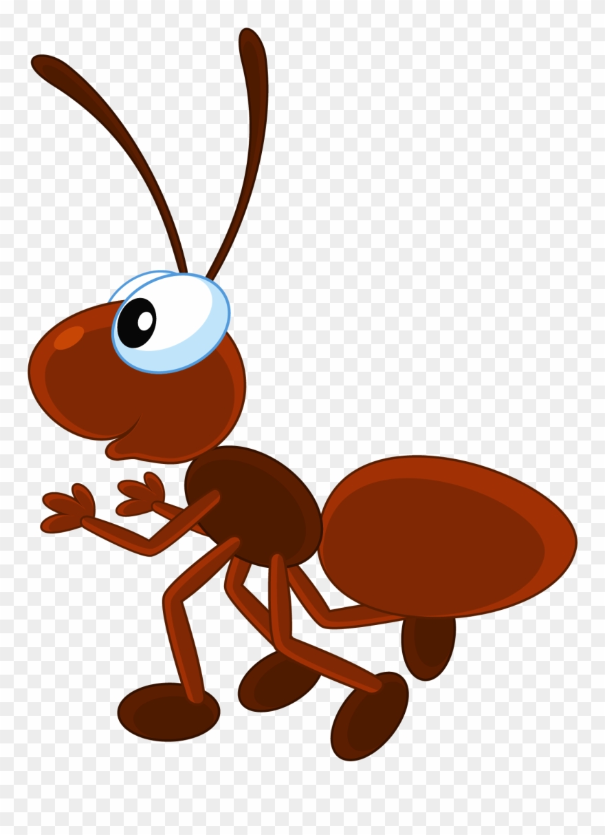 880x1213 Royalty Free Download Firefly Bug Clipart