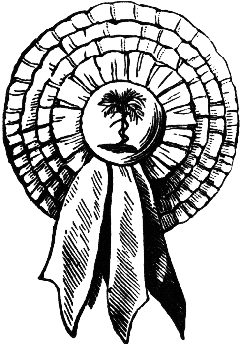 488x700 Here's An Old Drawing Of A Secession Cockade This First Appeared