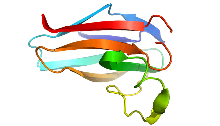 850x487 Ribbon Drawings Of The Example Models Top Row Modeled