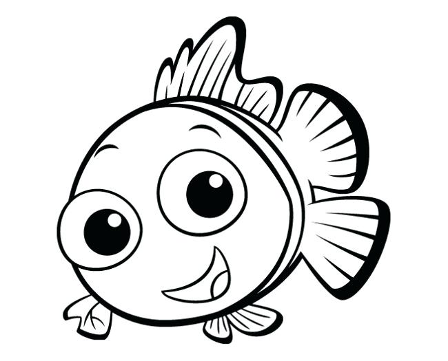 650x525 Fish Outline Drawing Cute Fish Template Jellyfish Outline Drawing