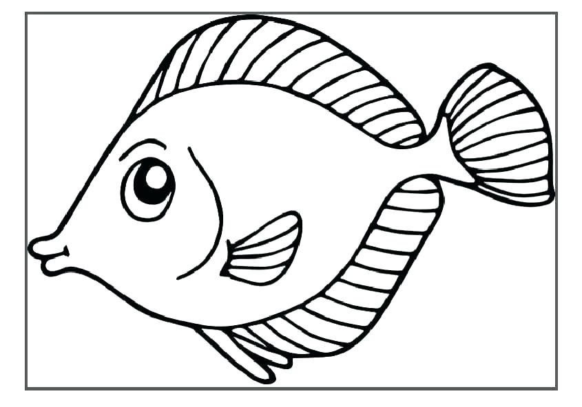 845x592 Fish Tank Coloring Pages Full Size