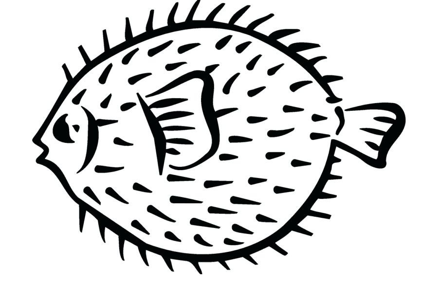 900x580 Puffer Fish Drawing