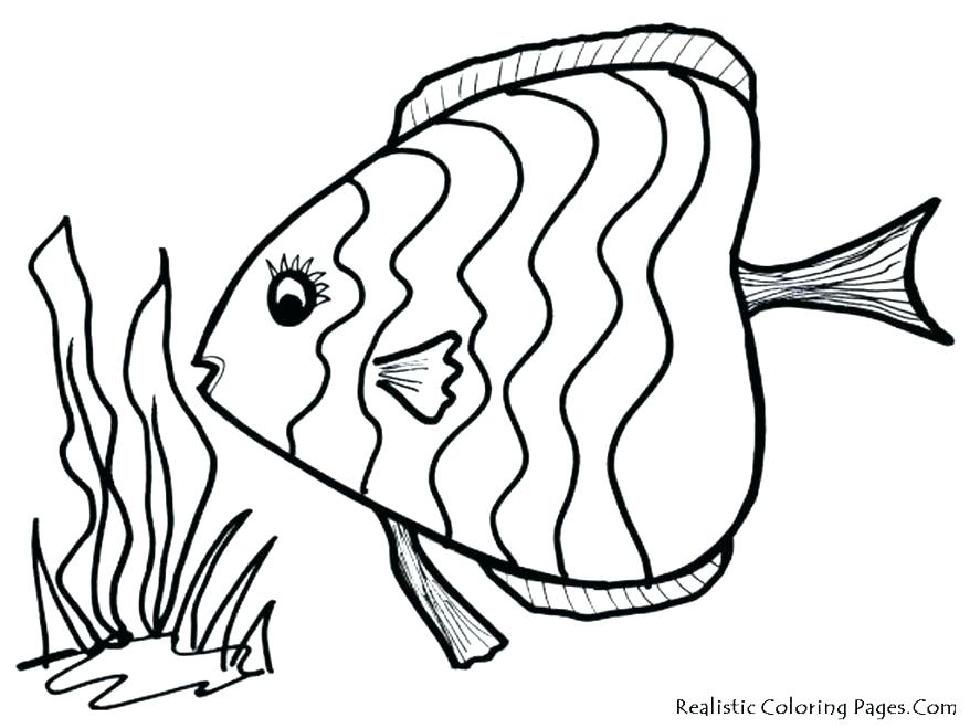 878x659 Fish Simple Drawing Fish Drawing Outline Drawing Coloring Pictures