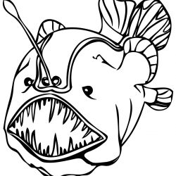 250x250 Angler Fish Drawing Easy Picture Step