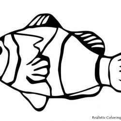 250x250 Angler Fish Drawing Easy Picture Step