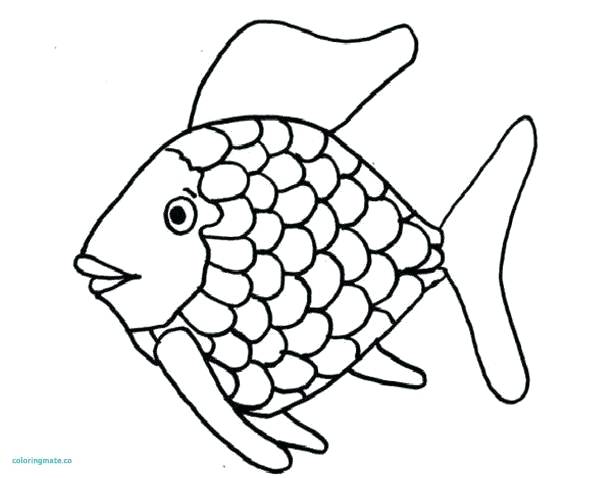 612x478 Puffer Fish Drawing Puffer Fish Drawing Easy