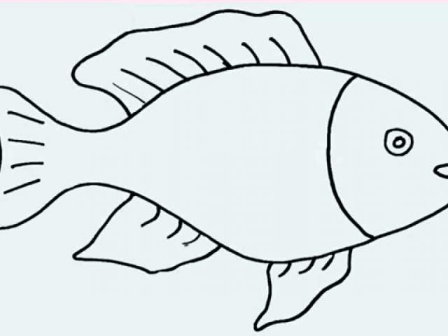 640x480 Kids Drawing Fish