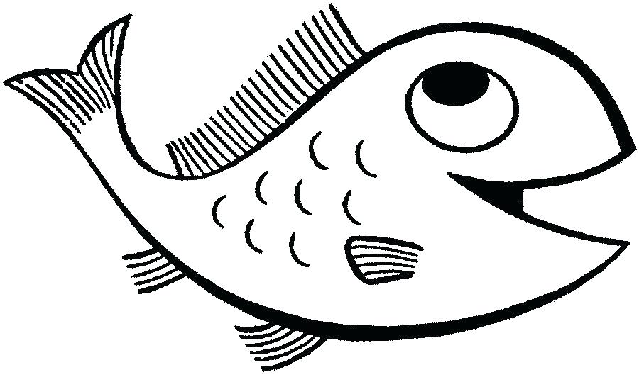 900x539 Simple Fish Drawings
