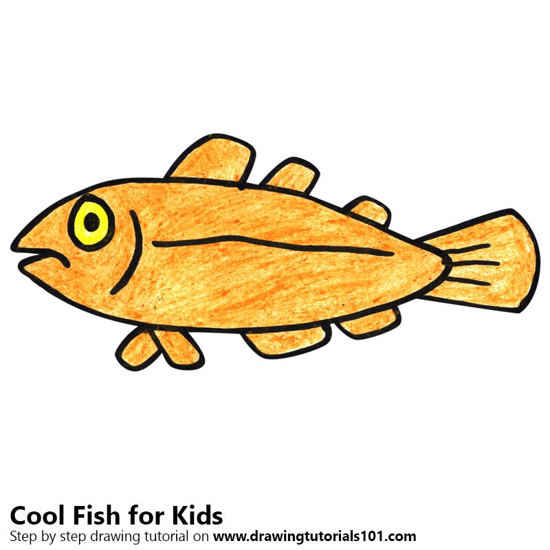 800x800 Fish Drawing For Kids