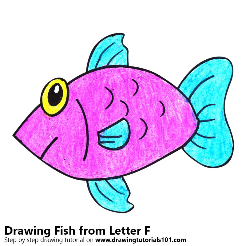 800x800 Learn How To Draw A Fish From Letter F