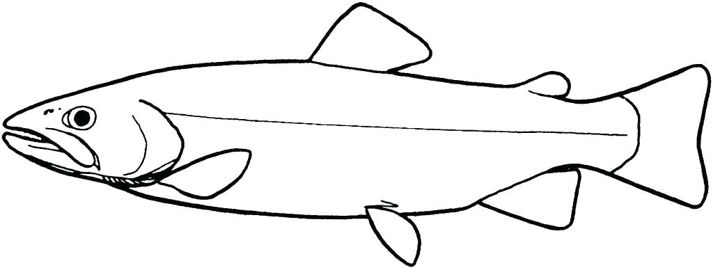 1024x385 How To Draw A Simple Fish