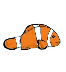 230x250 How To Draw A Fish
