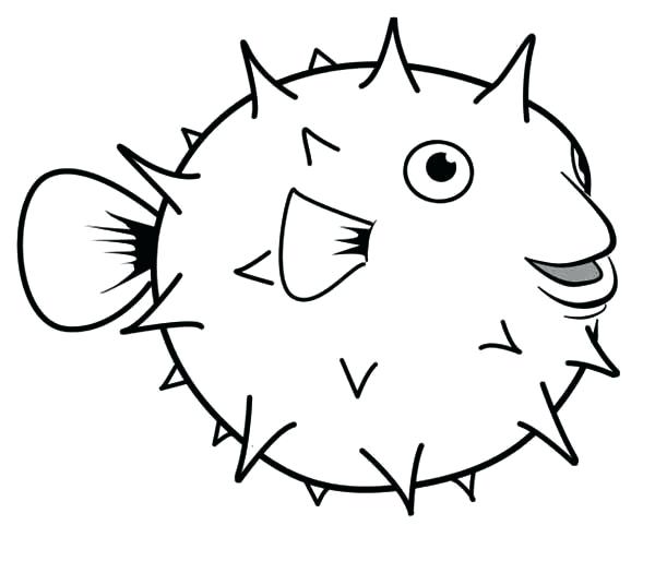 600x525 Puffer Fish Drawing