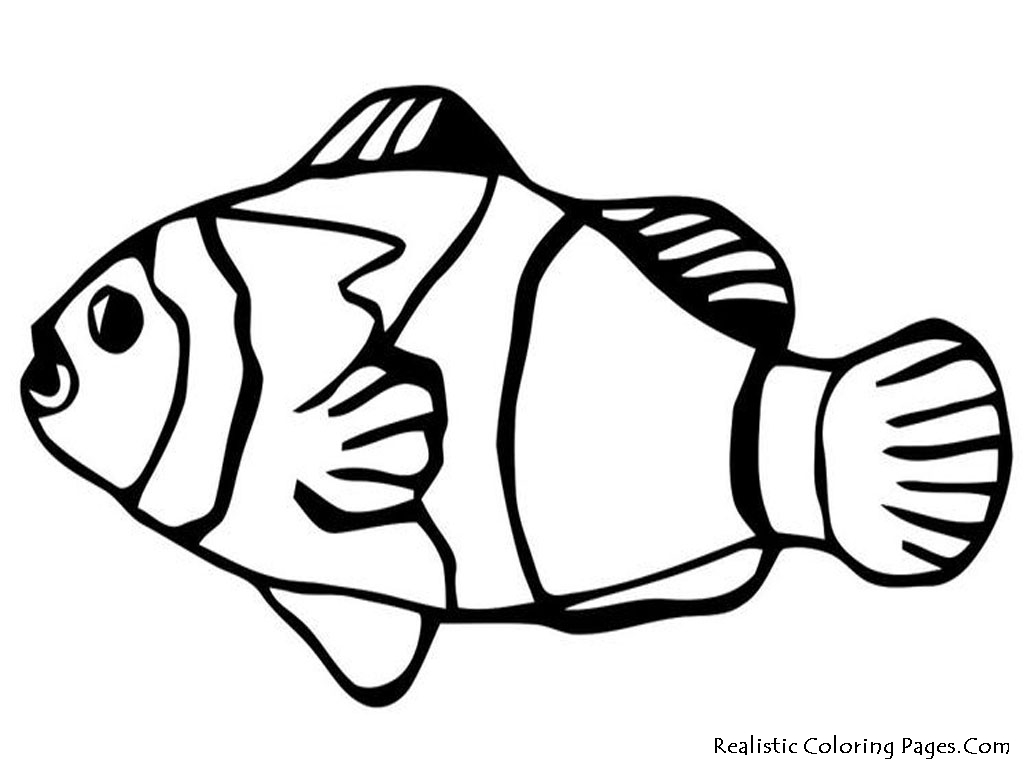 1024x768 Fish Drawing Simple With Color Colour Pictures Angler Cartoon