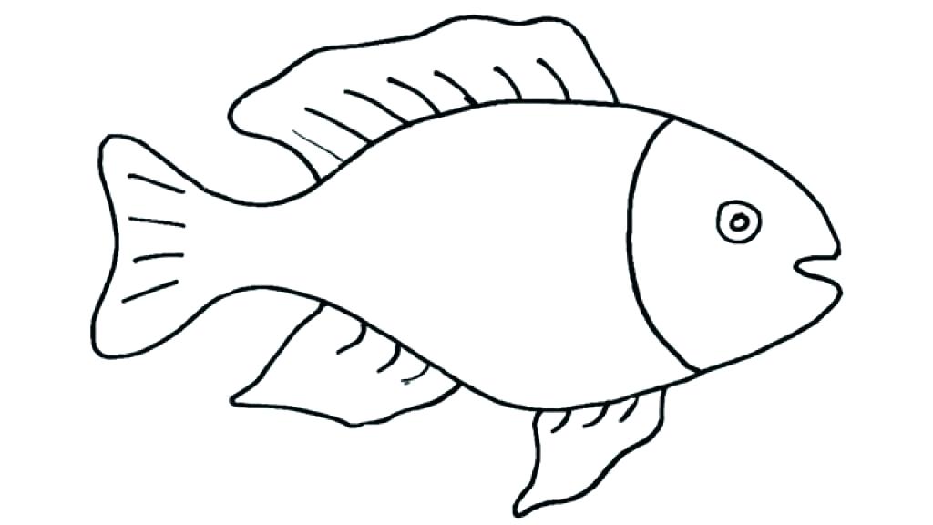 1024x576 Simple Drawing Of Fish Simple Skeleton Fish Drawing Vector Image