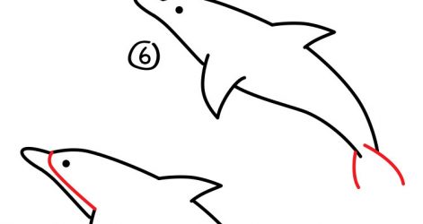 471x250 Dolphin Fish Drawing Easy Tattoo Of Simple Step