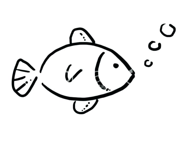 678x576 Easy Pictures Of Fish To Draw How To Draw A Fish Easy Fish