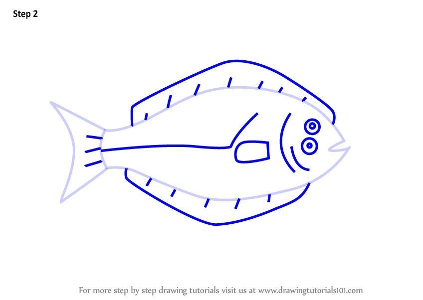 848x602 Learn How To Draw A Halibut Fish For Kids