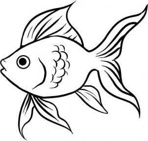 302x289 Six Easy Steps To Drawing Your Very Own Goldfish! Art Fish