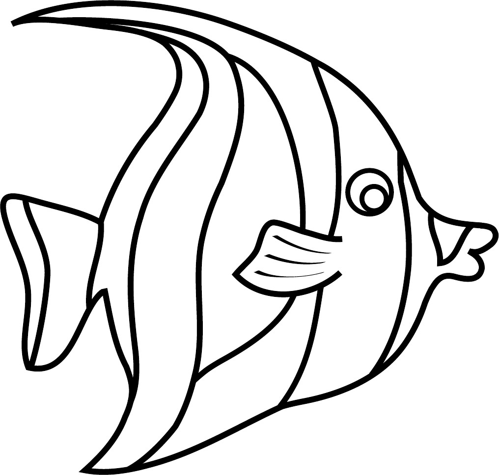 1016x968 Fish Drawing Outline
