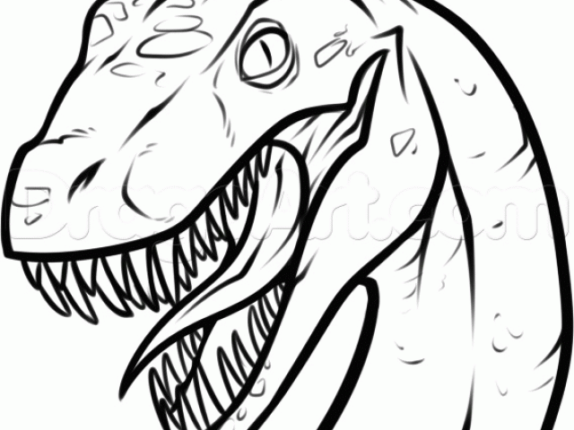 640x480 t rex head drawing easy how to draw a raptor head step