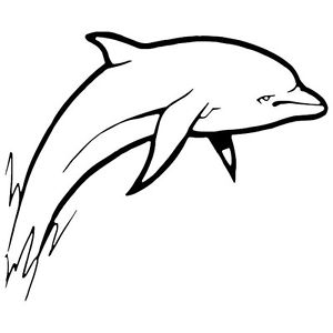 300x300 Dolphin Jumping Out Of Waterboat,animals, Car Decal Sticker Ebay