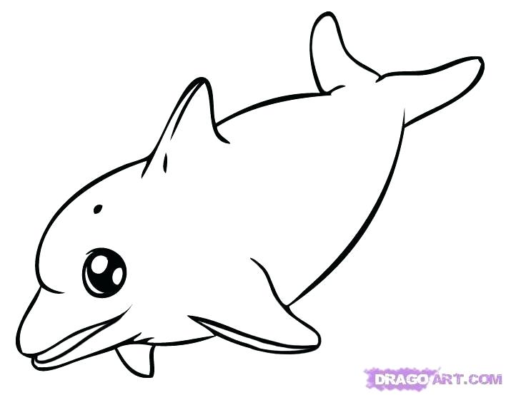 708x554 Drawing Of A Dolphin Drawing Dolphin Reviews