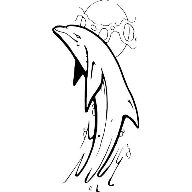 627x627 How To Draw A Dolphin Jumping Out Of The Water Dans Vector