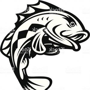 300x300 Stock Illustration Trout Fish Jumping Out Water Black White