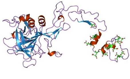 454x275 Global Coagulation Factor Ix Market Growth Pfizer, Csl
