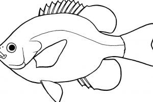 300x200 Fishpond Clipart Clipart Portal