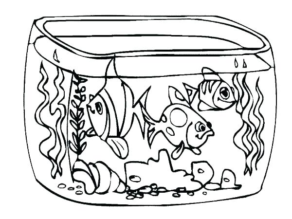 600x450 Free Pond Life Coloring Sheets