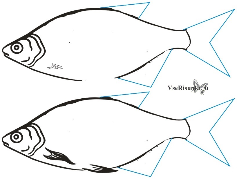 Легкие рыбы. Как нарисовать рыбу. Как нарисовать рыбу поэтапно. Рыба рисунок легкий. Рыба схематический рисунок карандашом.