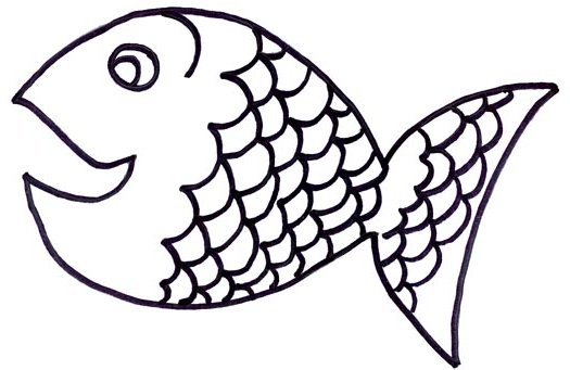 525x341 Koi Fish Clipart Scale Clipart