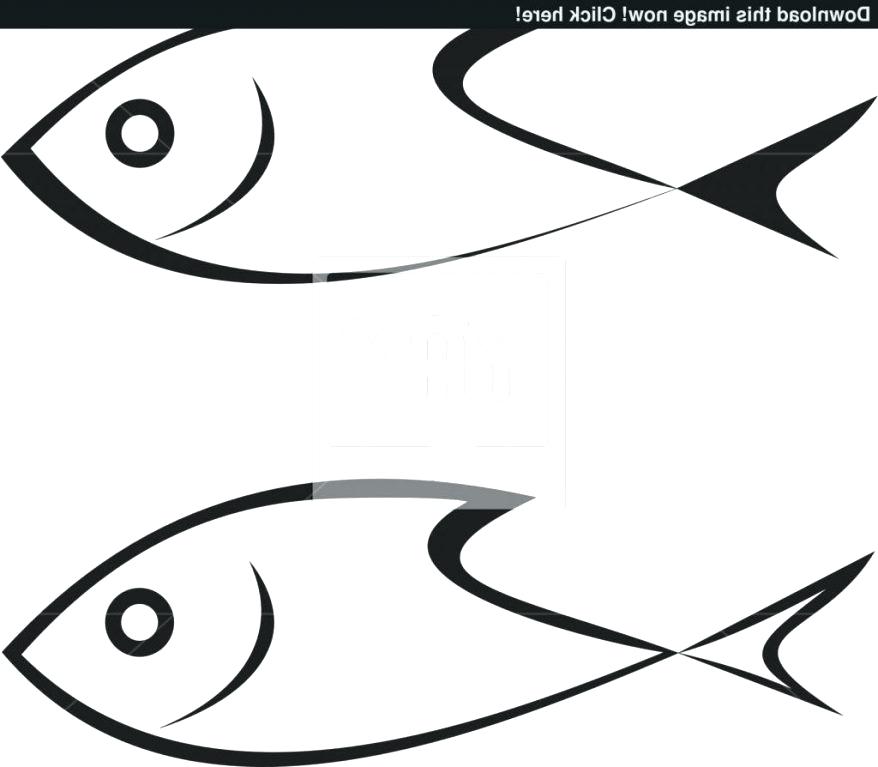 878x767 Simple Fish Drawing Simple Drawing Of Fish All New How To Draw