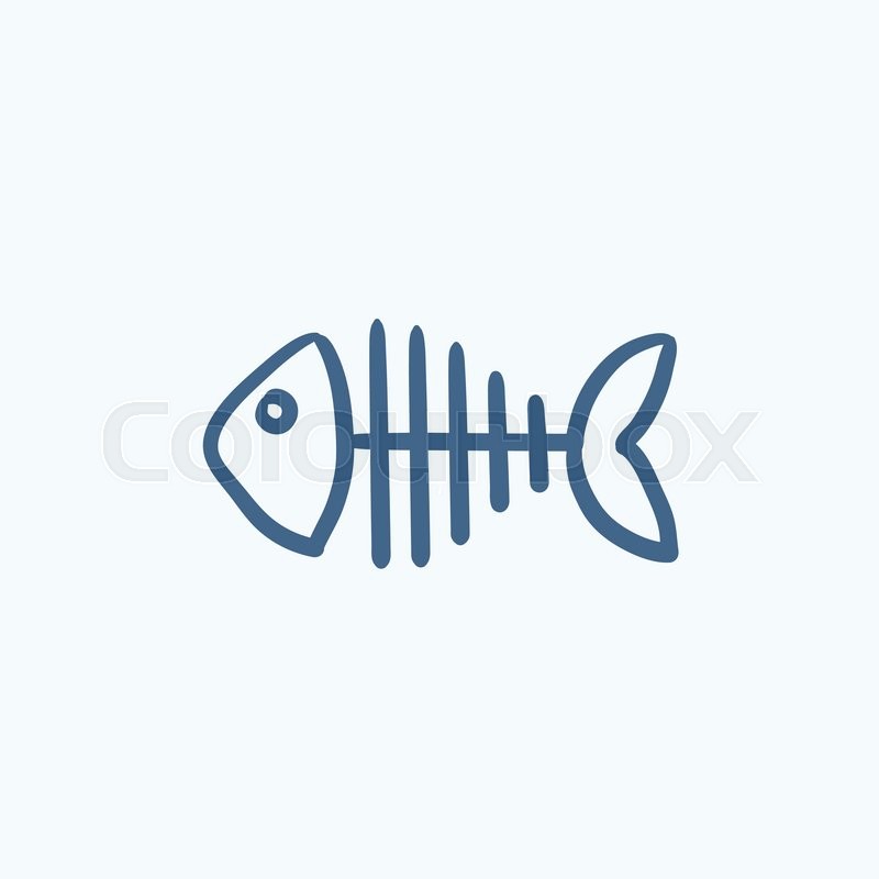 800x800 Fish Skeleton Vector Sketch Icon Stock Vector Colourbox