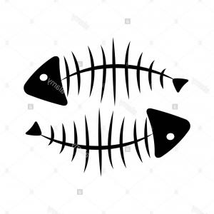 300x300 Sketch Of Fish Skeleton Fish Bone Vector Clipart Soidergi