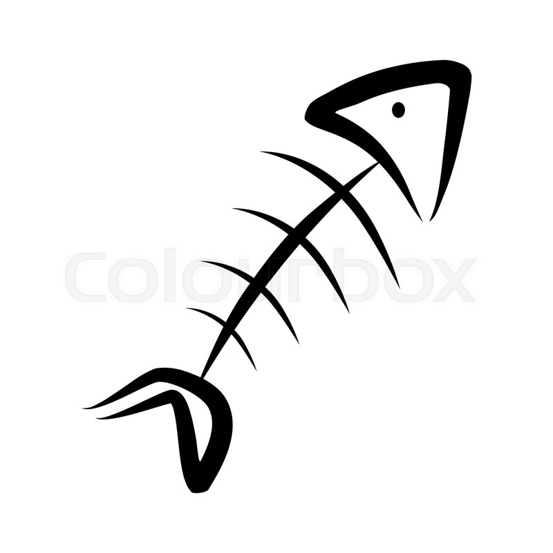 800x800 Vector Illustration Of A Stylized Fish Stock Vector Colourbox