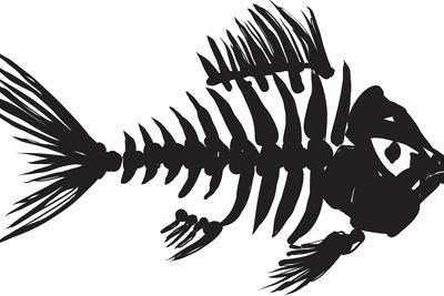 400x267 Fish Skeleton Art Print