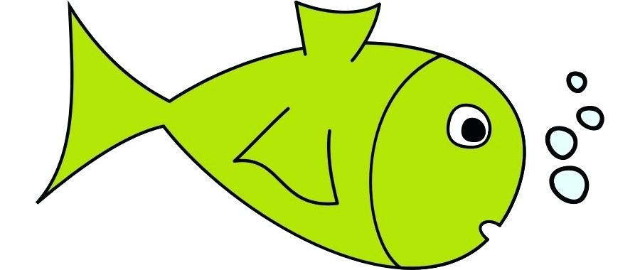 900x380 Easy Fish Drawing Easy Fish Drawings Cartoon Whale How To Draw