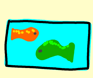 300x250 Fish Tank Drawing Image