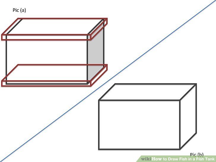 728x546 How To Draw Fish In A Fish Tank Steps