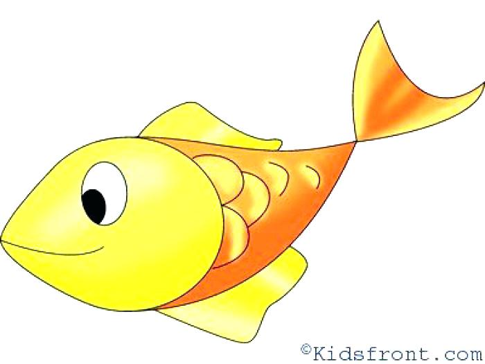 700x525 Simple Fish Drawing Simple Fish Drawing Simple Fish Tank Drawing