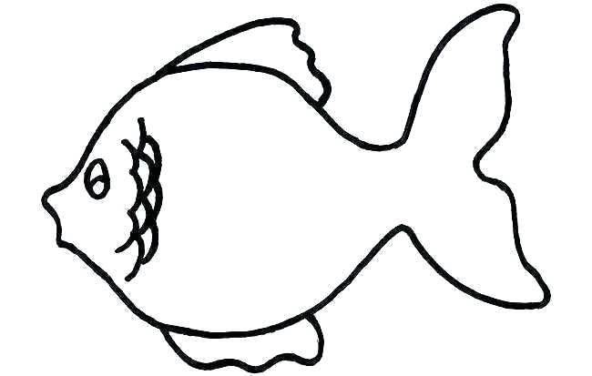 650x413 Fish Bowl Template For A Fishers Theory