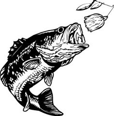 236x239 Collection Of Free Fisheries Clipart Bass Fisherman Download On Ui Ex