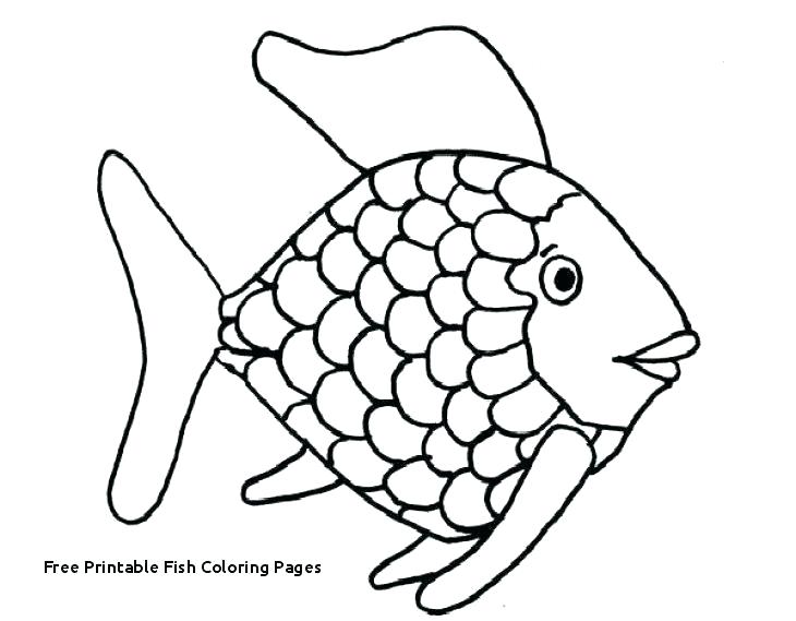 730x569 Coloring Book Fish