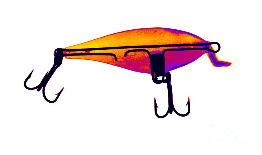 900x533 Fishing Lure Photograph
