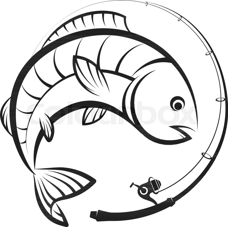 800x797 fishing, rod, fish, bait, catch